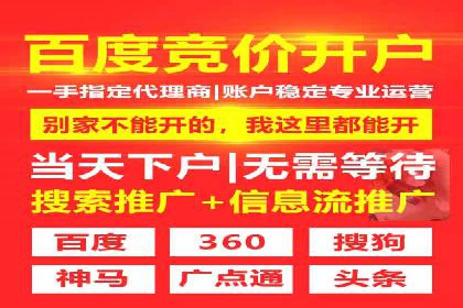 案例分析：SEM推广助力行业竞争突围